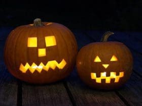 Conseils pour une Conservation Durable des Citrouilles d'Halloween