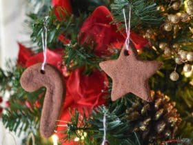 Décorations à la cannelle