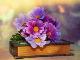 Entretenir les plantes artificielles