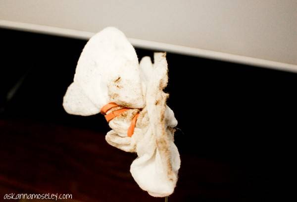 Nettoyage vitre du four