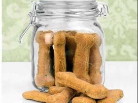 Biscuits pour chien
