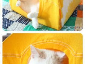 Tente pour chat avec un vieux t-shirt