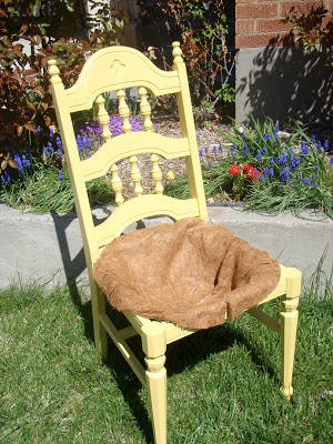 vieille chaise avec l'assise transformée en pot de fleurs
