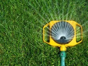 Comment planter son gazon