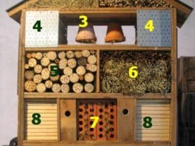 Fabriquer un hôtel à insectes