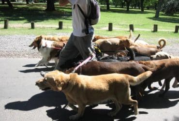 Comment trouver un petit boulot facilement