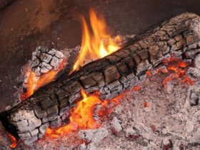 Les différentes utilisations de la cendre de bois