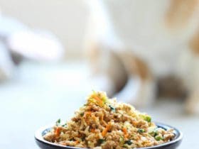 Nourriture pour chien faite maison