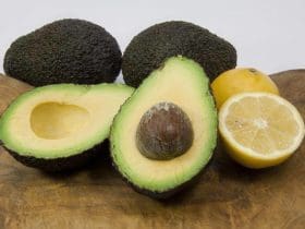 L'avocat : un fruit aux multiples vertus