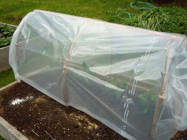 Fabriquer une serre tunnel pas chère pour le jardin