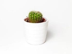 Comment devenir minimaliste et désencombrer sa maison et son esprit