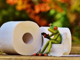 Ce que nos selles disent sur notre santé