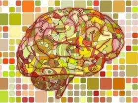 Les meilleurs aliments pour le cerveau