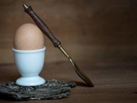 De l’œuf à la coque à l’œuf dur on vous dit tout !