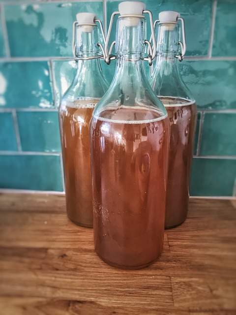 3 bouteilles de thé fermenté komboucha