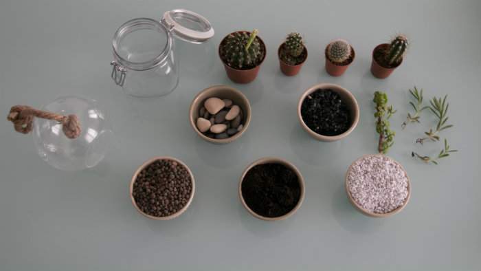 matériel nécessaire pour faire un terrarium