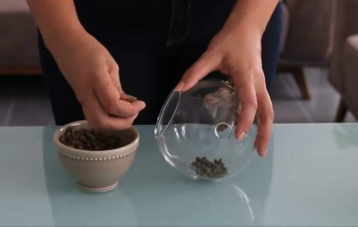 mettre une couche de bille d'argile drainante au fond du terrarium