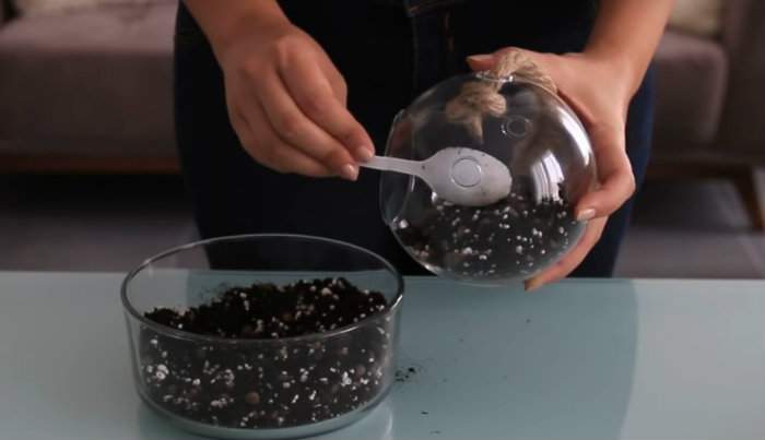 mettre une couche épaisse de terreau au fond du terrarium