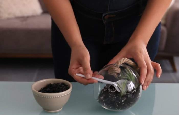 Ajouter du gravier décoratif sous les plantes du fond du terrarium