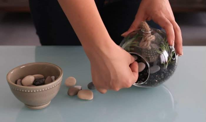décorer le terrarium avec des galets