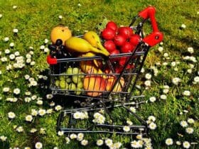 Calendrier des fruits et légumes de saison