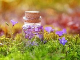 Comment faire un macérat huileux et comment l'utiliser