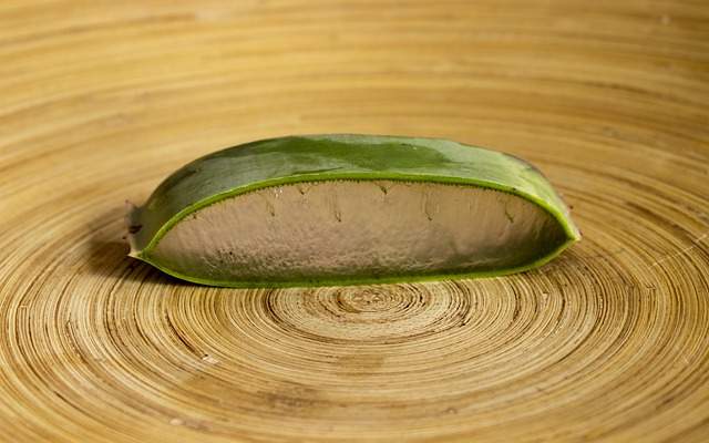 feuille d'aloe vera coupée en tranche