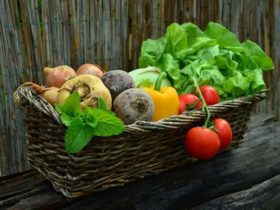 15 Fruits et légumes faciles à cultiver en bac sur votre balcon
