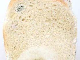 10 astuces pour conserver vos aliments plus longtemps