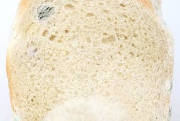 10 astuces pour conserver vos aliments plus longtemps