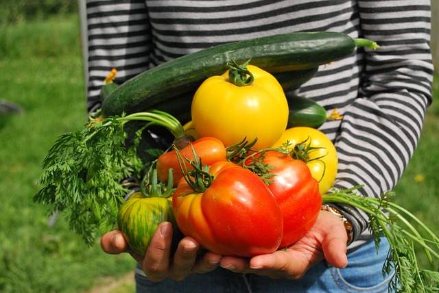 Compagnonnage et plantes amies - Associez ces plantes pour un potager prospère