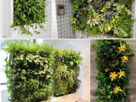 Astuces pour créer votre jardin vertical intérieur