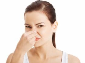 7 raisons pour ne plus jamais retenir ses pets