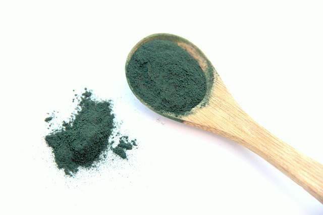 cuillère en bois remplie de spiruline