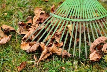 Liste des travaux d'automne à faire au jardin