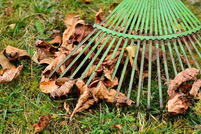 Liste des travaux d'automne à faire au jardin