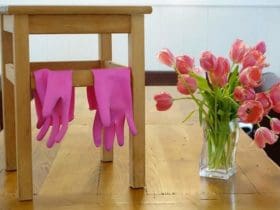 La méthode de rangement infaillible FlyLady