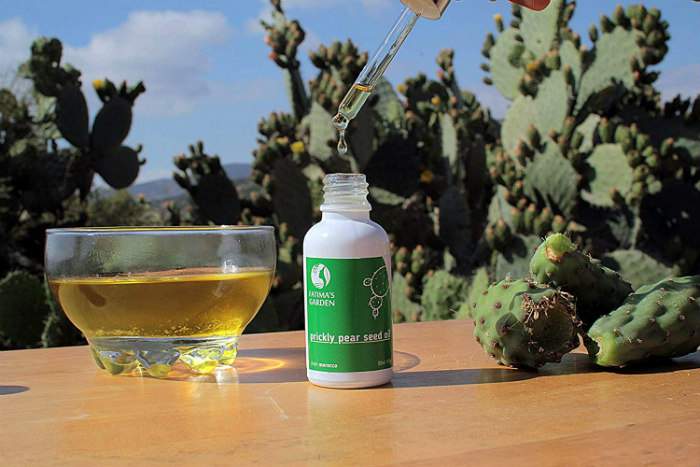 huile de pépins de figue de barbarie et figuier de barbarie