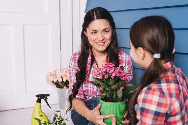 Apprendre à un enfant se protéger des plantes ornementales toxiques