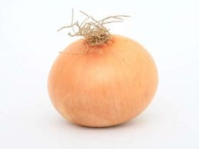 L'oignon : une pharmacie dans votre cuisine