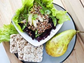 Comment faire germer des graines