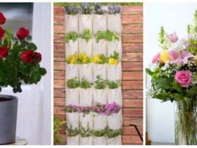 Astuces pour faire pousser et entretenir vos plantes sans trop d'efforts