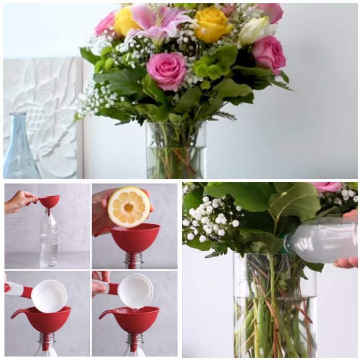 Un bouquet frais plus longtemps