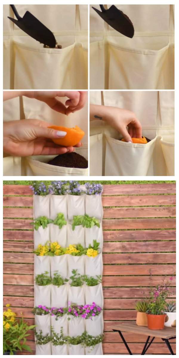 Faire pousser des graines