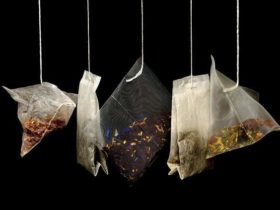 Idées de recyclage surprenantes de sachets de thé utilisés