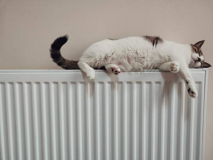 Où placer le radiateur pour faire des économies ?