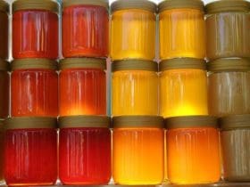 Les types de miels parfaits pour l'hiver