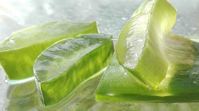 L’aloe vera