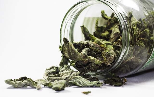 herbes aromatiques séchées 