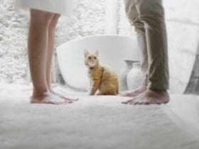 Astuces pour vivre en harmonie avec votre conjoint à fort caractère